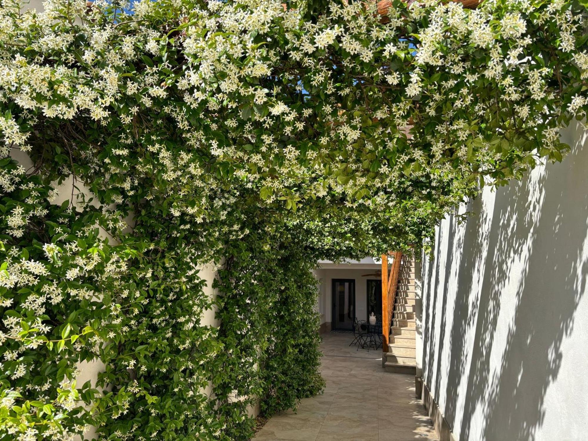 El Patio De Los Jazmines Boutique-House Consuegra Exterior photo